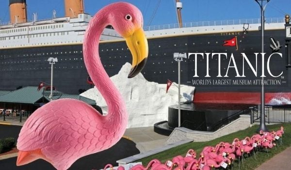 Pink Flamingos tagged with Titanic Passengers names that later battled Cancer adorn the lawn of the Titanic Museum Attractions in honor of Breast Cancer Awareness.