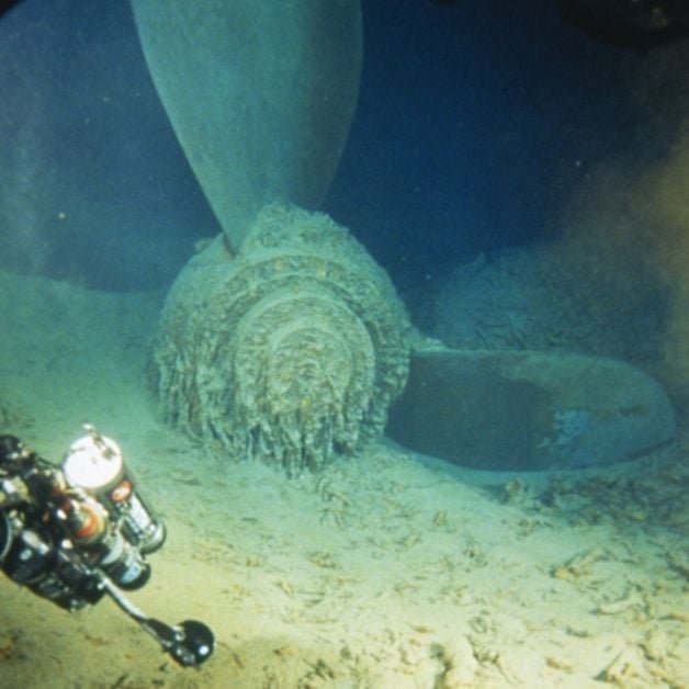 An image of the propellor in the ocean found during Titanic founder's dive to the wreck site.